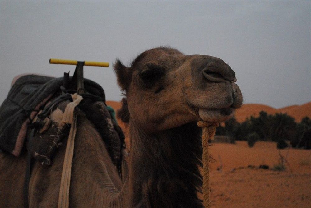 Les Pyramides Hotel Merzouga Buitenkant foto